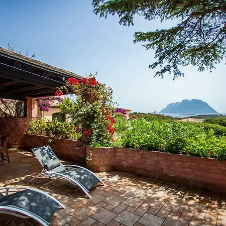 Kale - Klodge Villa Olbia